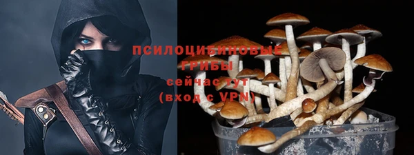 ПСИЛОЦИБИНОВЫЕ ГРИБЫ Богородск