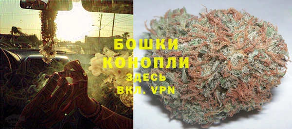ECSTASY Богородицк