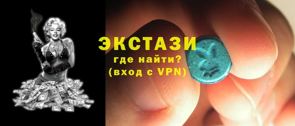 ECSTASY Богородицк