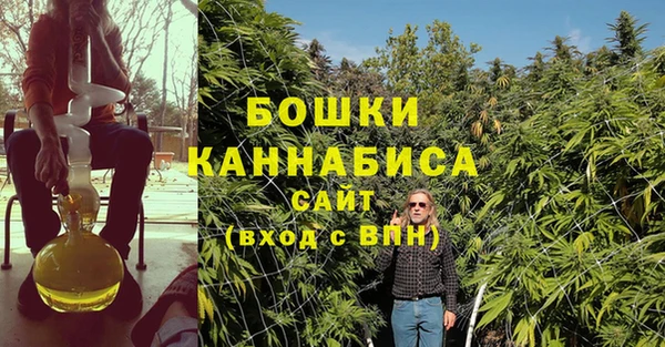 ПСИЛОЦИБИНОВЫЕ ГРИБЫ Богородск