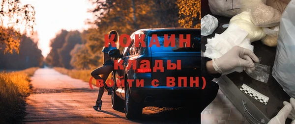 ПСИЛОЦИБИНОВЫЕ ГРИБЫ Богородск
