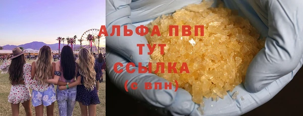 ECSTASY Богородицк