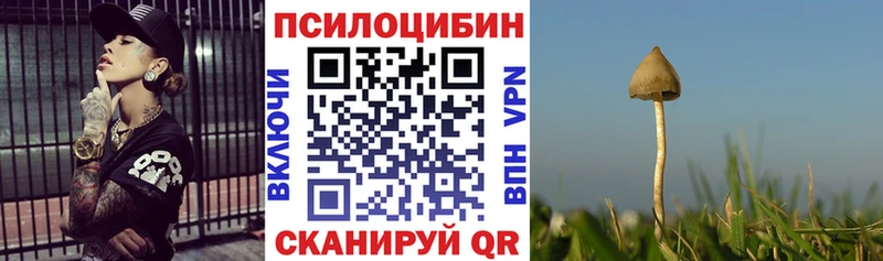 Галлюциногенные грибы Cubensis Волгодонск